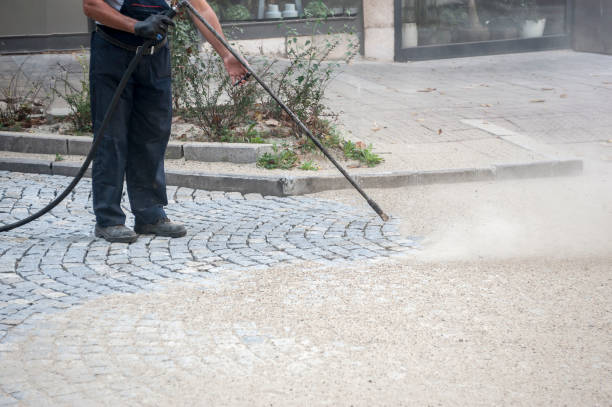 Best Boat and Dock Cleaning  in Southworth, WA